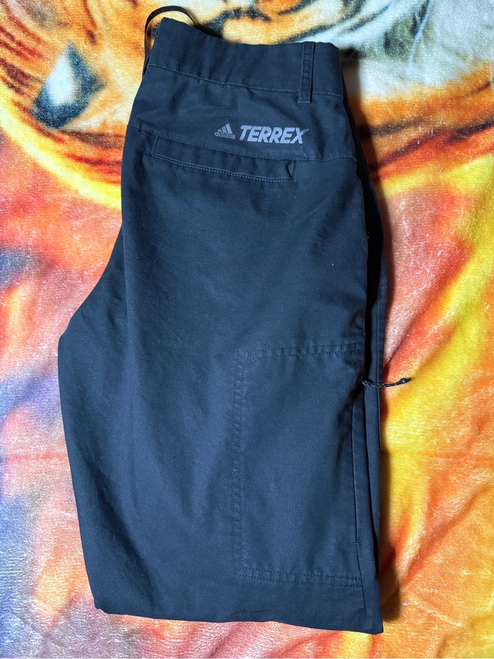 adidas Terrex Black Men's Cargo Pants